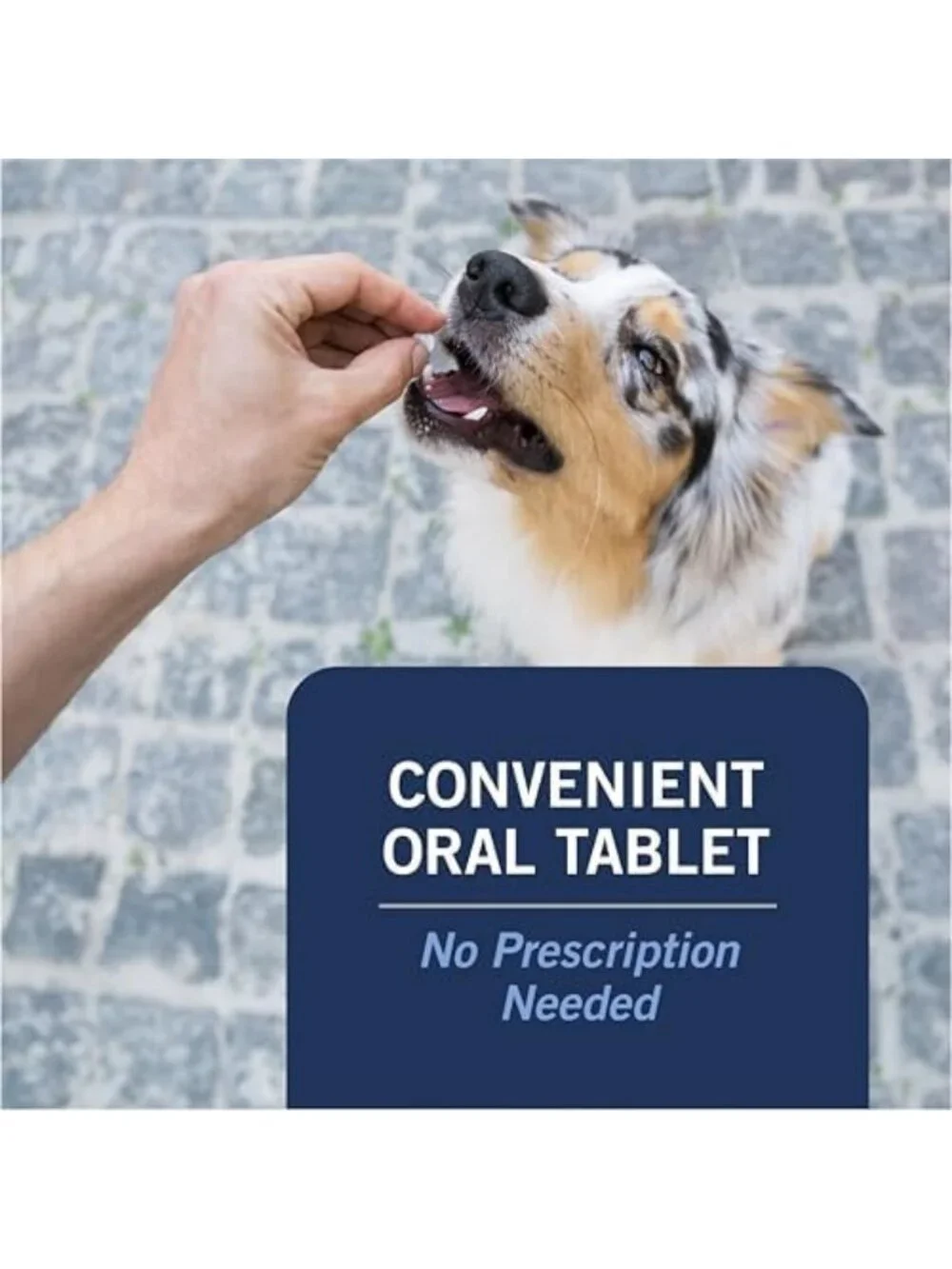 Fast-Acting Oral Flea Treatment for Dogs Over 25 lbs - 6 Tablets, Kills Fleas in